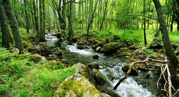 Ruralrut-El Tiemblo Wifi, Cabina De Hidromasaje, Aire Acondicionado Y A Pocos Metros De Zonas De Bano Naturales Екстер'єр фото